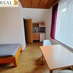 Rent 1 bedroom apartment in Žďár nad Sázavou