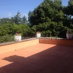 Rent 5 bedroom house of 320 m² in Rome