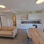 Rent 2 bedroom apartment of 60 m² in Mantova