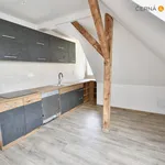 Rent 2 bedroom apartment of 50 m² in Ústí nad Labem