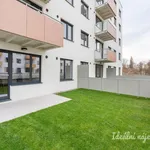 Rent 2 bedroom apartment of 51 m² in Prague