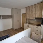 Rent 1 bedroom apartment in Přerov