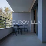 Rent 1 bedroom apartment of 45 m² in Split