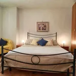 Rent 1 bedroom apartment of 60 m² in florence