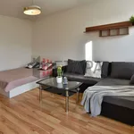 Rent 1 bedroom apartment of 38 m² in České Budějovice