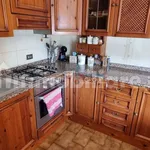 Rent 5 bedroom apartment of 100 m² in Massa