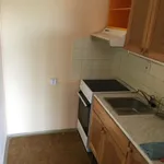 Rent 1 bedroom apartment of 46 m² in Brno