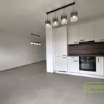 Pronajměte si 3 ložnic/e byt o rozloze 70 m² v Vochov