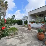 Rent 2 bedroom house of 60 m² in Anzio