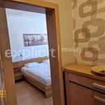 Rent 3 bedroom apartment of 73 m² in Zlín