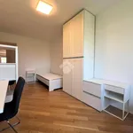 Rent 4 bedroom apartment of 90 m² in Trento