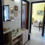 Rent 4 bedroom apartment of 86 m² in Termoli