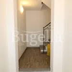 Rent 2 bedroom apartment of 50 m² in Cerrione