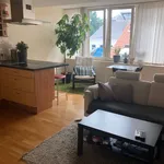 Rent 1 bedroom apartment in Leuven