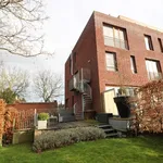 Rent 2 bedroom apartment of 146 m² in Heverlee