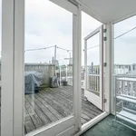 Rent 2 bedroom apartment of 144 m² in Vogelenbuurt