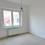 Pronájem 3+1, 63 m², Písek - Rokycanova