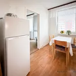 Rent 3 bedroom apartment of 7238 m² in Capital City of Prague