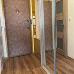 Rent 1 bedroom apartment of 31 m² in Praha 11