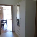 Rent 1 bedroom apartment in Hradec Králové