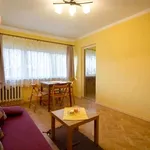 Rent 2 bedroom apartment of 38 m² in Łódź