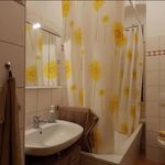 Rent 2 bedroom apartment of 70 m² in Zwickau