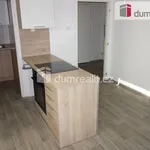 Rent 2 bedroom apartment of 38 m² in Břeclav