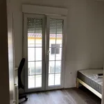 Rent 8 bedroom apartment in Granada