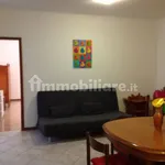 Rent 4 bedroom apartment of 70 m² in Siena