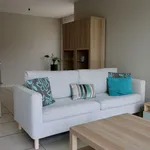 Rent 2 bedroom apartment in Wachtebeke