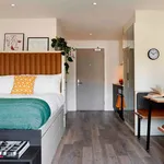 Rent 1 bedroom apartment in Brighton