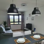 Alquilo 1 dormitorio apartamento de 40 m² en Valencia