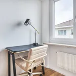 Rent 4 bedroom apartment of 82 m² in Basel