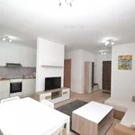 Rent 2 bedroom apartment of 53 m² in Timisoara