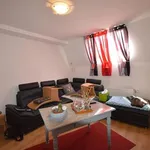 Rent 1 bedroom apartment in Honnelles