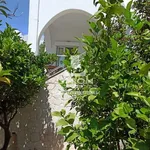 Rent 1 bedroom house of 120 m² in Municipal Unit of Opountioi