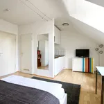 Rent 1 bedroom apartment of 23 m² in Cologne