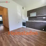 Rent 4 bedroom apartment of 73 m² in Havířov