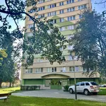 Rent 1 bedroom apartment in Ostrava