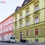 Rent 2 bedroom apartment of 39 m² in Plzeň