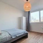 Rent a room in berlin