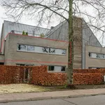 Rent 1 bedroom apartment in Westerlo (Westerlo)