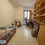 Rent 2 bedroom apartment of 50 m² in Pisa