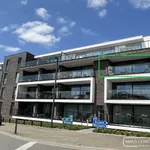 Energiezuinig appartement te huur in centrum Anzegem met...