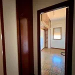 Rent 5 bedroom apartment of 109 m² in Palermo