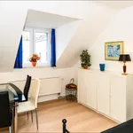 Rent 1 bedroom apartment in Bonn