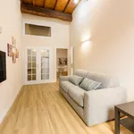 Rent 1 bedroom apartment of 50 m² in Florence