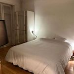 Rent 1 bedroom apartment of 42 m² in lyon