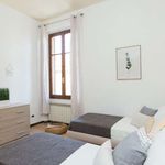 Rent 3 bedroom apartment in Firenze