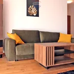 Rent 2 bedroom apartment of 53 m² in Katowice